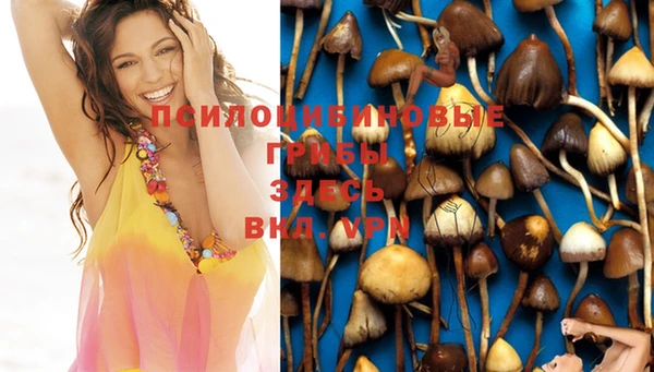 герыч Щигры